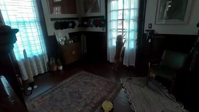 Artemis II astronaut Christina Koch reunites with dog post-splashdown