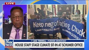 Chuck Schumer office protests a ‘Democratic photo op’: Terrell