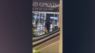 Illinois mall jewelry store targeted in brazen theft caught on camera - Fox News