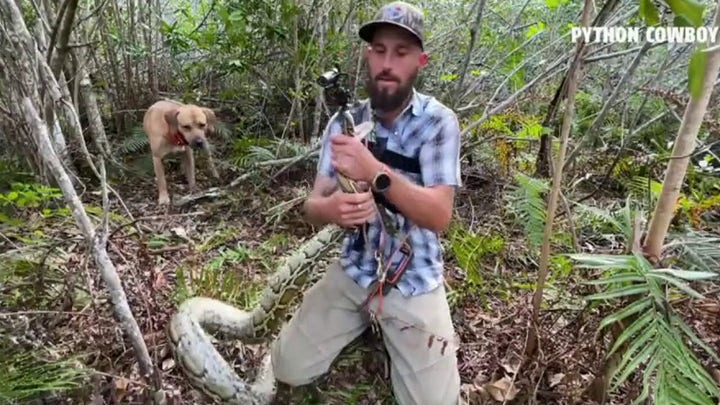 Meet South Florida's Python Cowboy