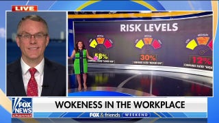 Report rates companies based on likelihood they will go 'woke' - Fox News