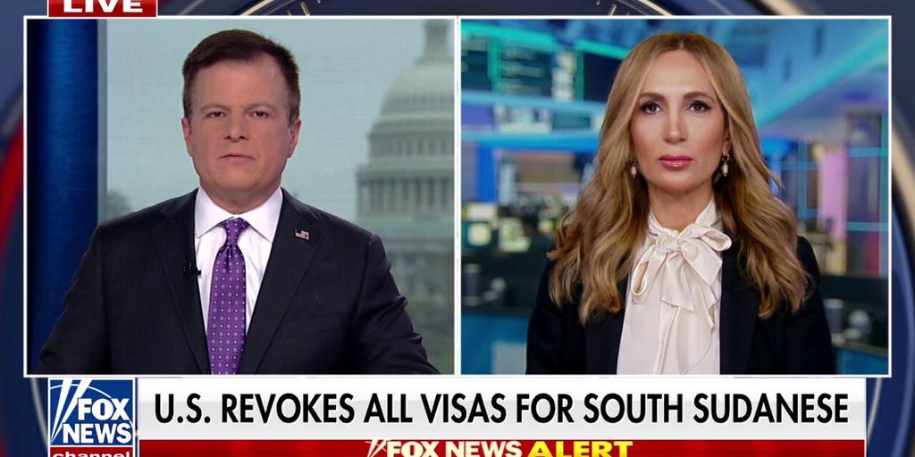 Trump, his administration are 'delivering for the American people on their promises': Ellie Cohanim