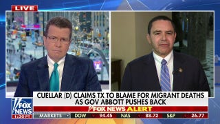 Texas governor should ‘communicate’ with the federal government: Rep. Henry Mueller - Fox News