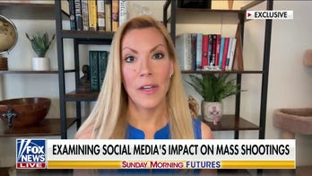 Gun control narrative is ‘lazy politics’: Rep. Van Duyne