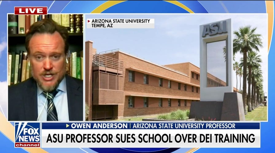 Professor files lawsuit over DEI training: I was told I need to 'decolonize my classroom'