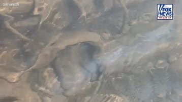 Typically murky Lake Superior waters turn crystal clear, revealing historic shipwreck