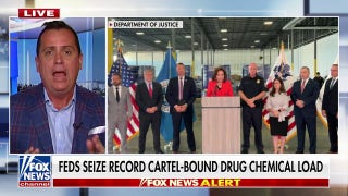 Trump admin has put drug traffickers 'on defense,' former ICE official argues