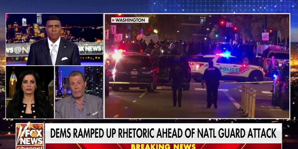 Democrats’ rhetoric toward law enforcement ‘gives a permission slip to radicals’ to commit violent acts, former House Judiciary Committee chief counsel argues