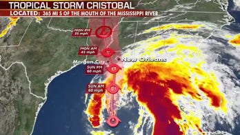 Cristobal strengthens to Tropical Storm, should make landfall Sunday