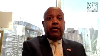 ‘Texas first’: Dem. Rep. Al Green’s challenger explains why he jumped in the race