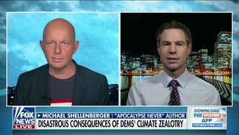 Are solar panels the solution to America's energy issues?