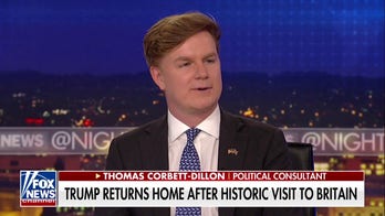 The Brits were hoping Trump would come and 'save' them: Political consultant