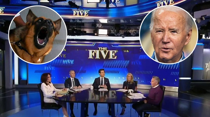 The Five: If Biden cant control his dogs, how can he govern a country?