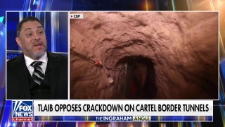 Border Patrol Council president calls 'Squad' member the 'most unloyal person to the United States' - Fox News