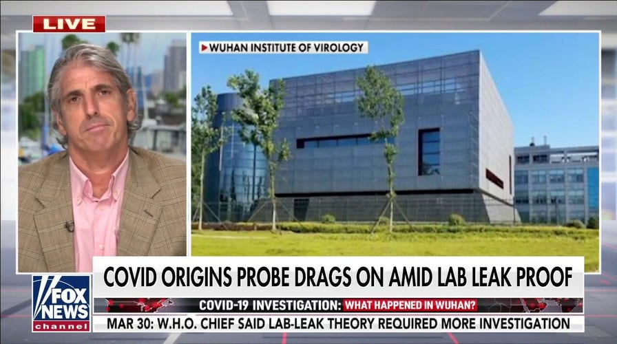 Former State Department official flags WHO probe into COVID-19 origins as 'incomplete,' potentially 'corrupt'