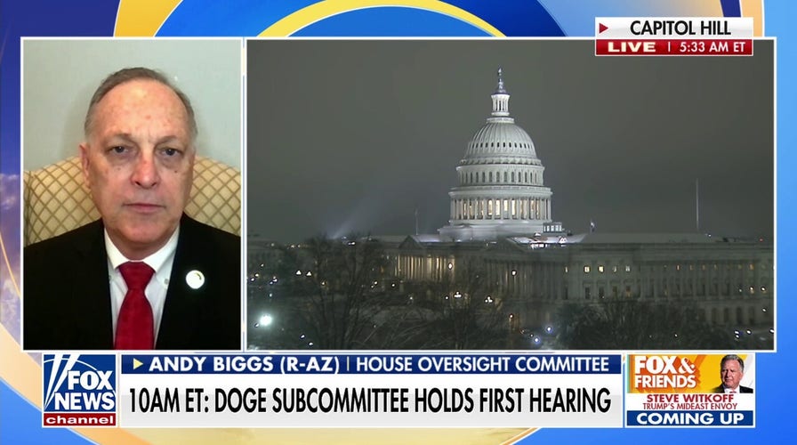 DOGE subcommittee to hold first hearing as Democrats vow to fight back