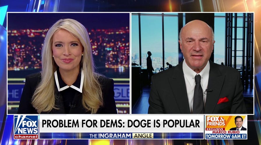 Kevin O'Leary concerned DOGE is 'not cutting enough'
