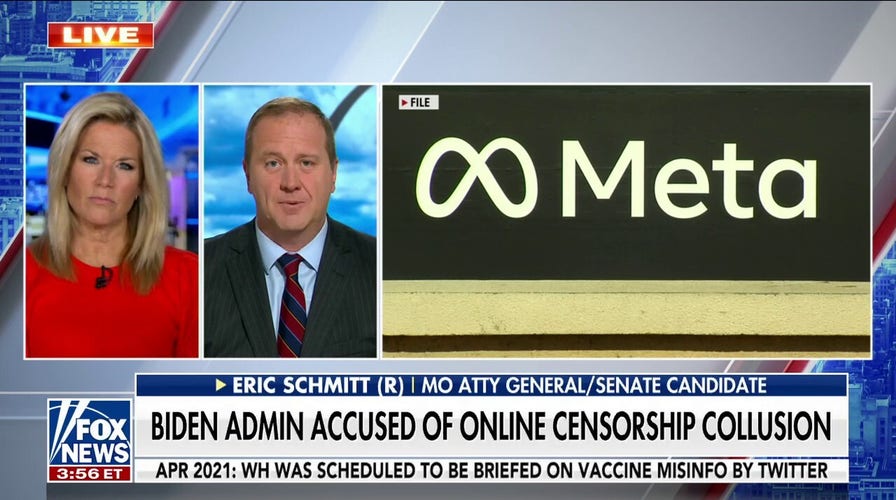 This alleged outsourcing of censorship is illegal: Schmitt