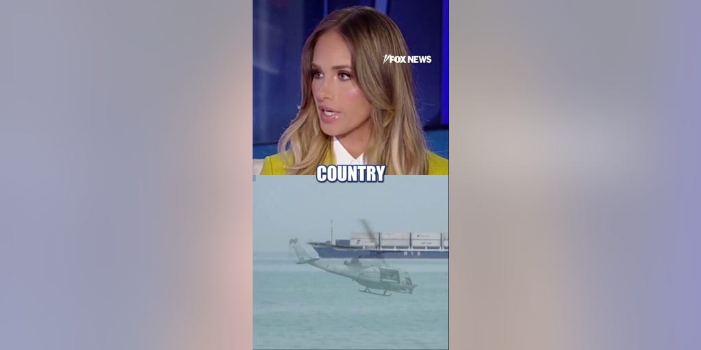 They are ‘UNDERMINING’ our country: Tomi Lahren