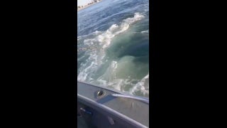 Whale makes a surprise breach next to fishing boat - Fox News