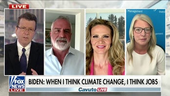 Economist on Biden’s climate agenda: We need to be ‘realistic’ in the transition