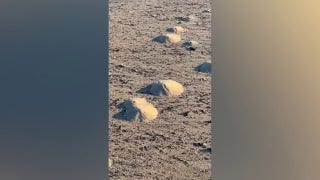 ‘Mini volcanoes’ appear all over Texas beach - Fox News