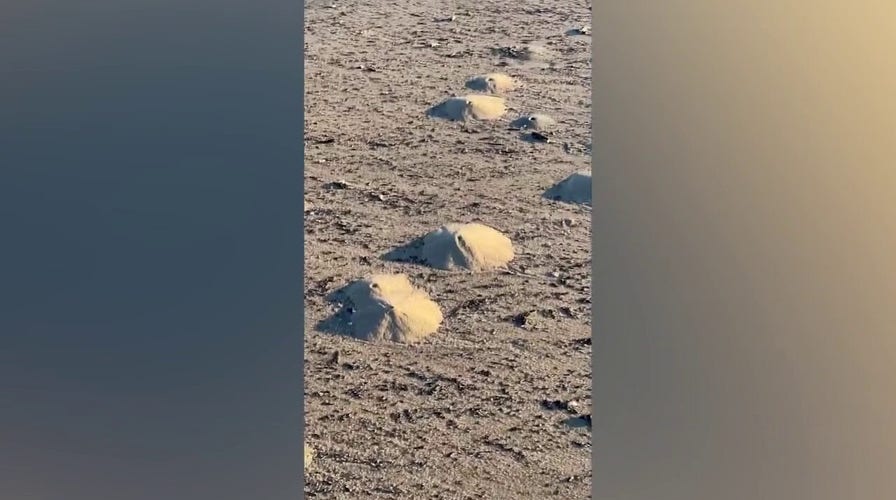 ‘Mini volcanoes’ appear all over Texas beach