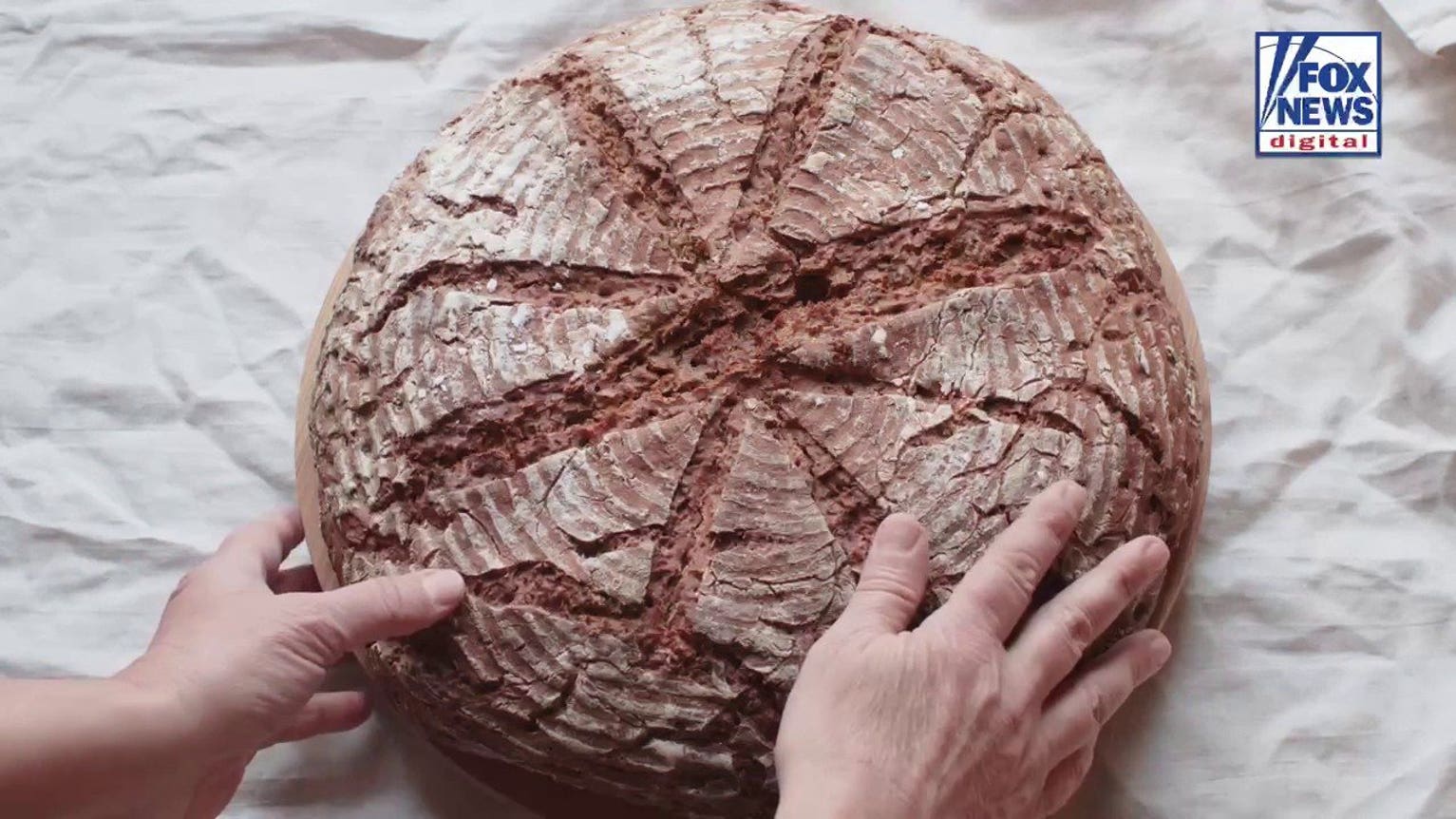 Expert breaks down how transportation and rare ingredients could lead to $60 bread