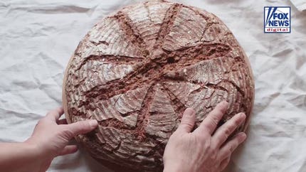 Expert breaks down how transportation and rare ingredients could lead to $60 bread