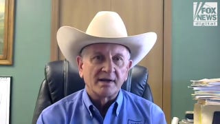 Screwworm threatens livestock, Mexico must act now: NCBA president