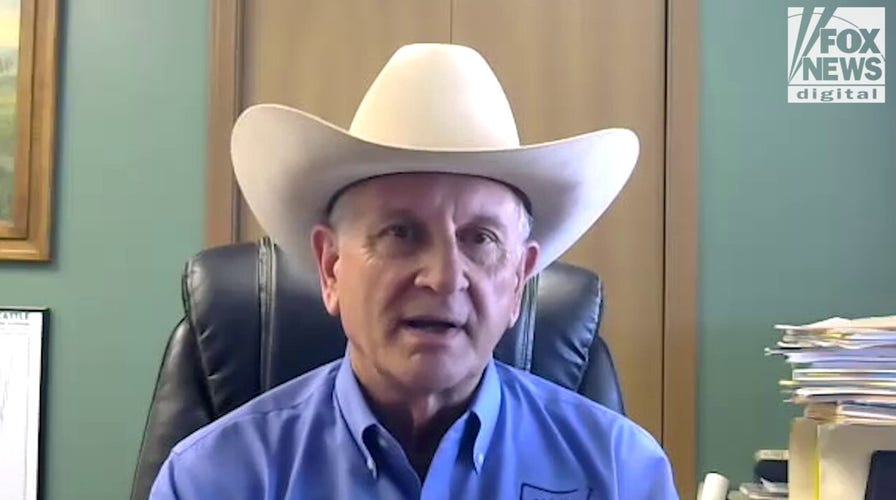 Screwworm threatens livestock, Mexico must act now: NCBA president