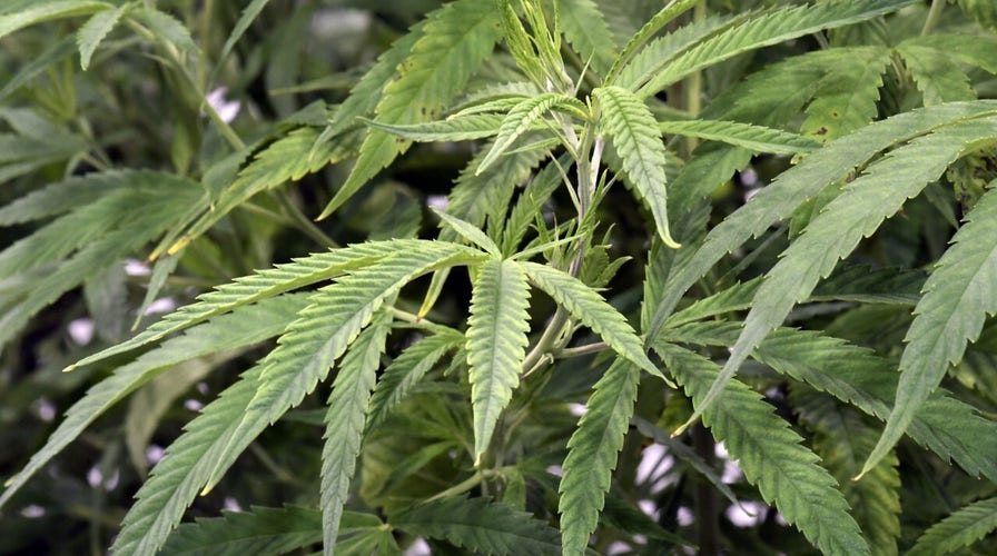 Virginia first state in South to legalize recreational marijuana