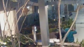 Los Angeles follow-home robbers pistol-whip victim on video, police say