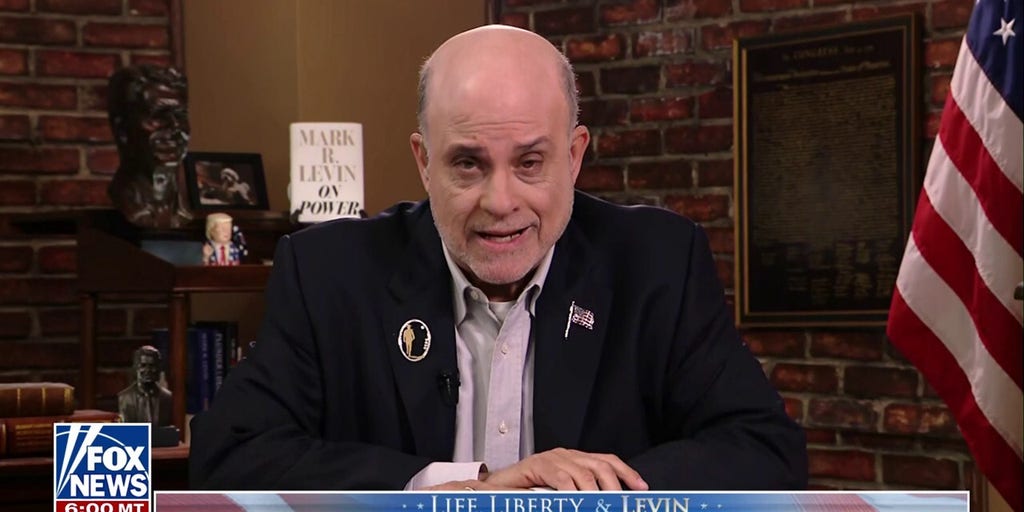 Levin: This could be a 'slam-dunk case' against birthright citizenship