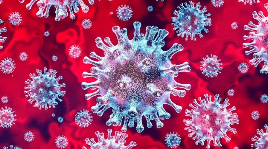 Coronavirus has mutated at least once, second strain detected: study