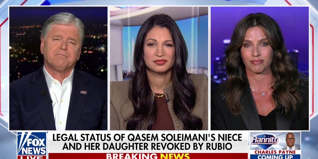 Those with ties to Iran’s Islamic Republic should ‘certainly’ not be allowed in the US: Noa Tishby