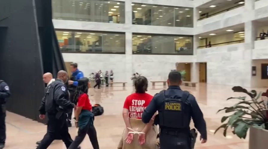 Anti-Israel protesters arrested in Senate office building