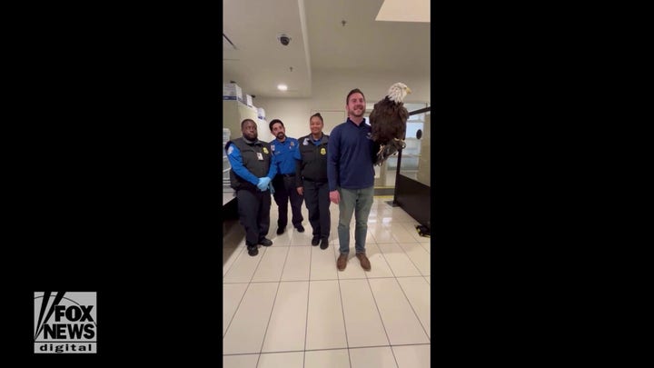 ‘Clark the Eagle’ makes special appearance at Reagan Airport in Arlington, Virginia