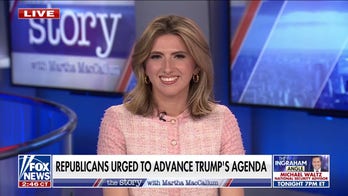  Democrats are still 'battling it out' about their strategy, observers say