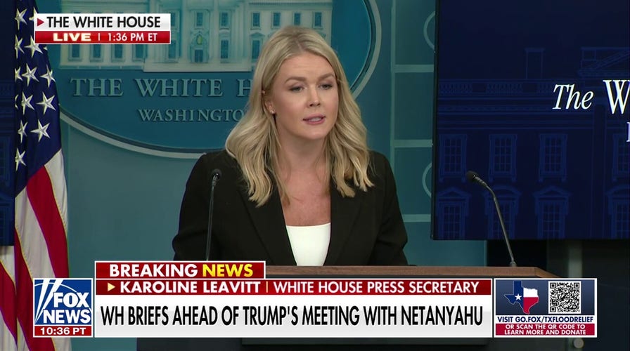 Leavitt: Anyone lying about Texas disaster 'should be ashamed'