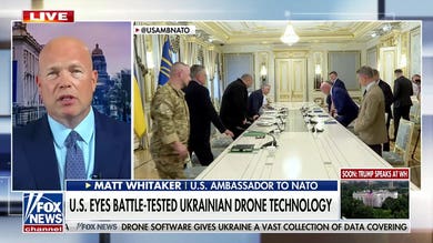 NATO ambassador commends Ukraine’s ‘extraordinary’ military technology