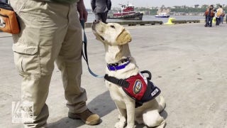 USS Wasp welcomes facility dog to provide mental health support for Navy sailors, Marines - Fox News