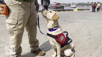 USS Wasp welcomes facility dog to provide mental health support for Navy sailors, Marines