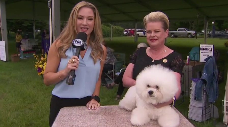 Westminster Dog Show moves outside NYC for first time in 145 years