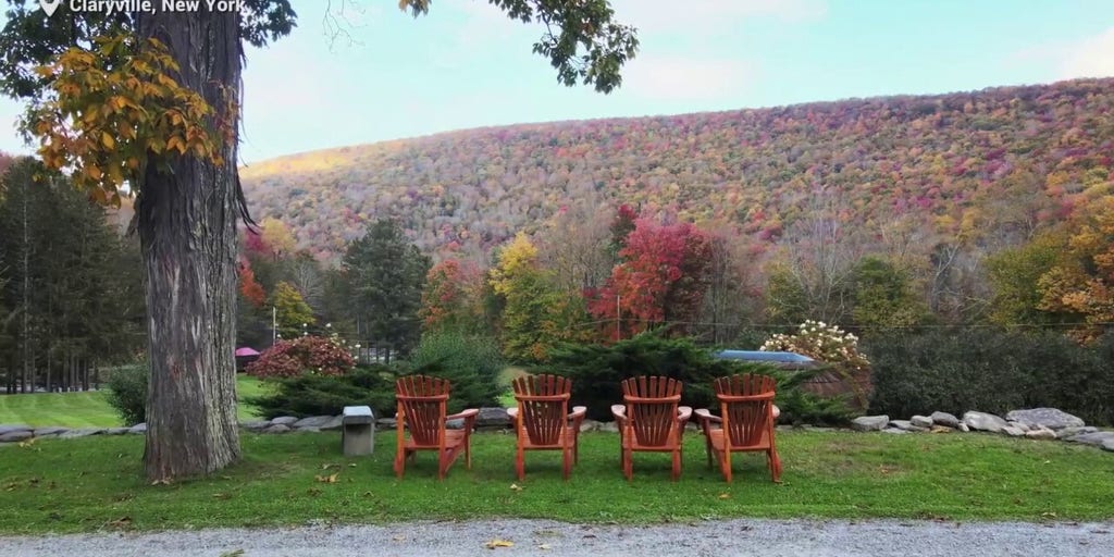 Cabin getaway for election week 'unplugging' sells out in seconds