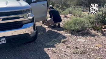 Investigators find black glove near Nancy Guthrie's home