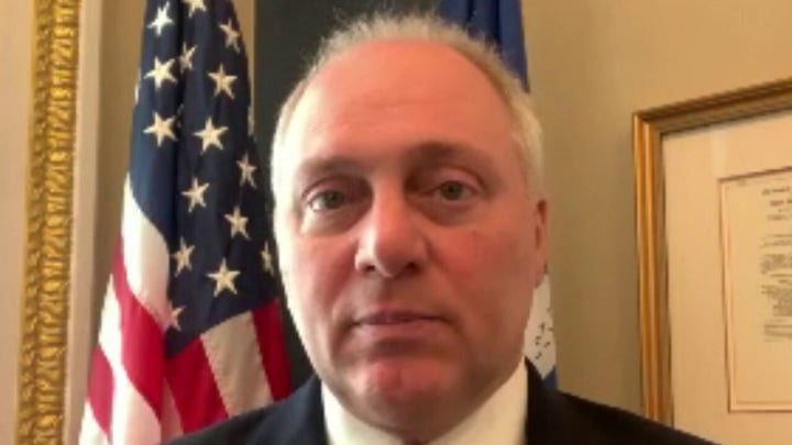 Rep. Scalise on allowing states to declare bankruptcy instead of bailout