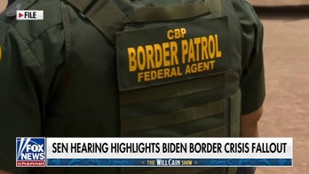 Senate hearing blames Biden for violent crimes committed by illegal immigrants in the US