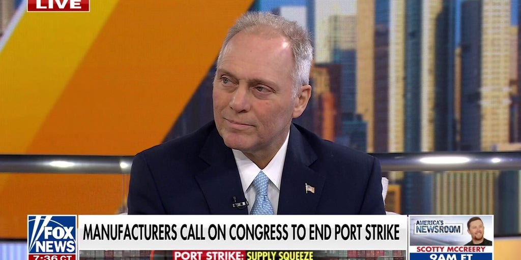 Rep. Steve Scalise warns port strike will add to inflation: 'Biden, Harris won't do anything'
