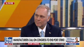 Rep. Steve Scalise warns port strike will add to inflation: 'Biden, Harris won't do anything' - Fox News